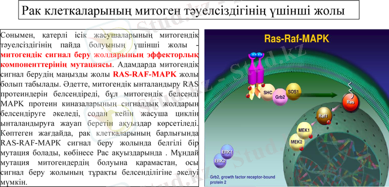 Slide 10