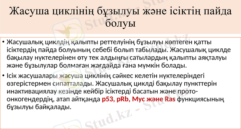 Slide 11
