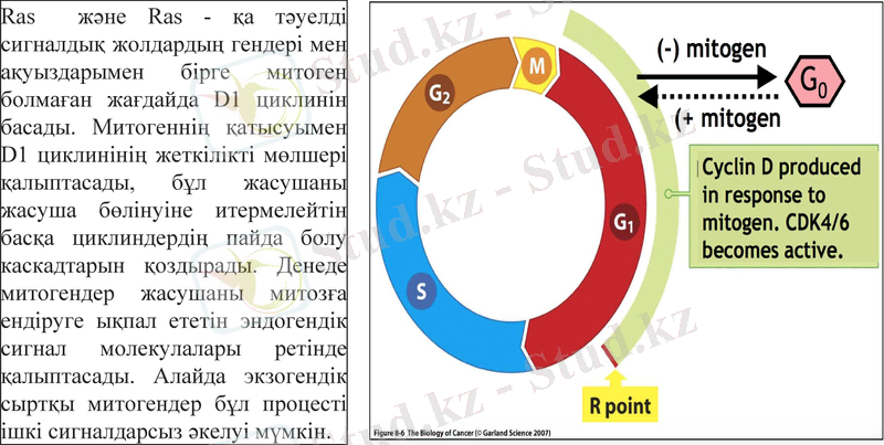 Slide 5