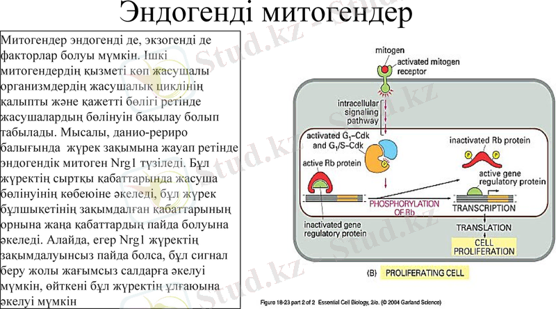 Slide 6