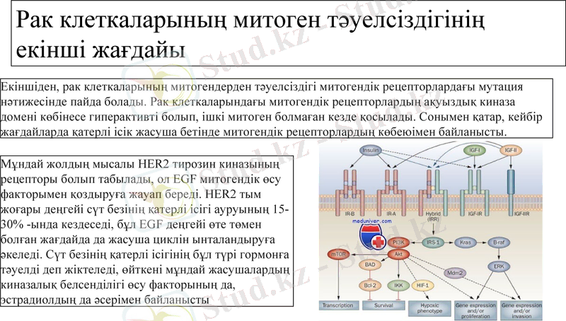 Slide 9