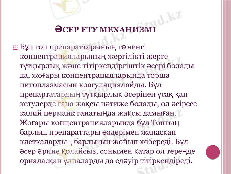 Slide 11