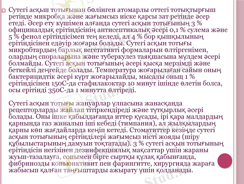 Slide 13