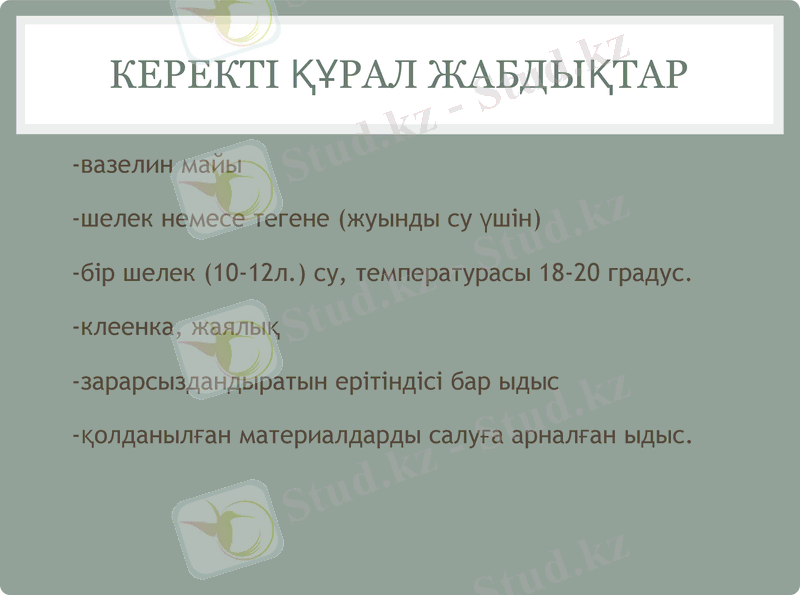 Slide 6