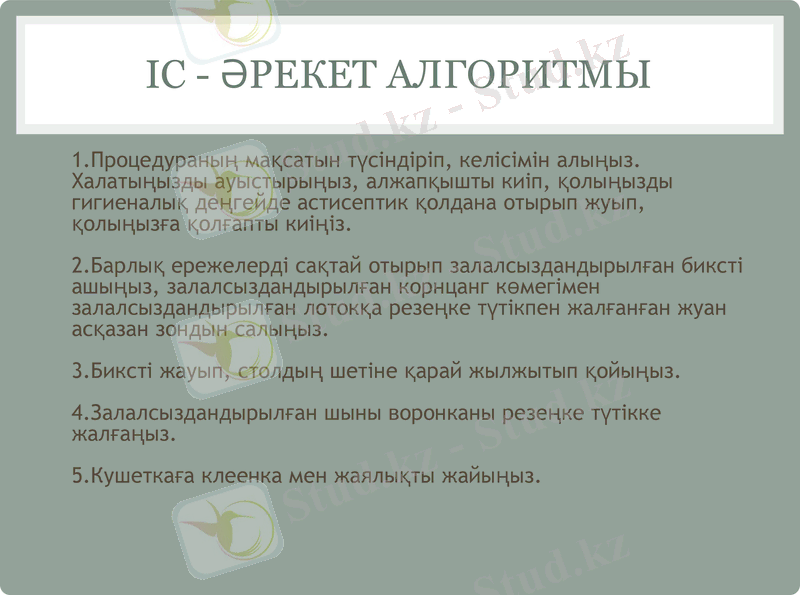 Slide 7