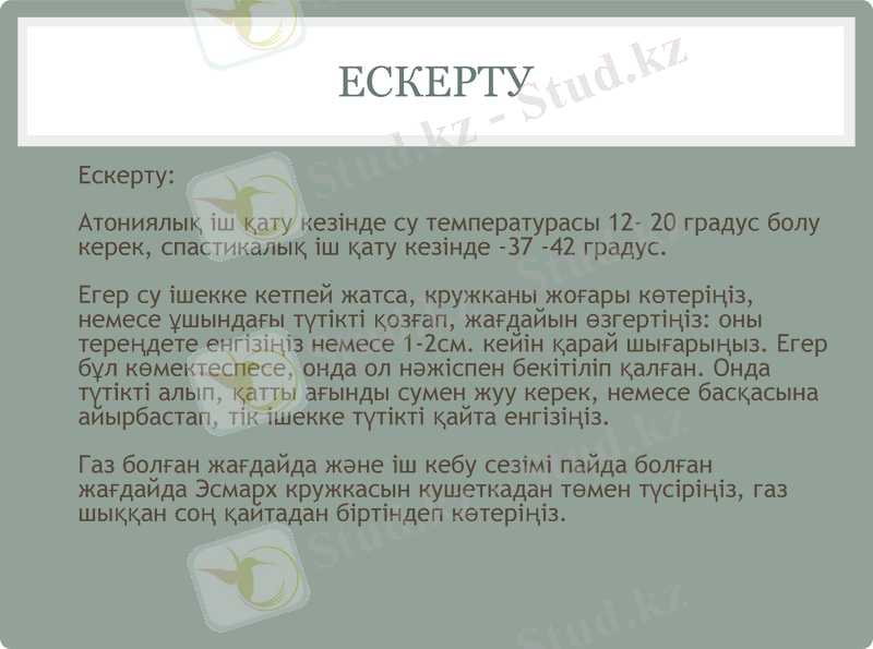 Slide 8