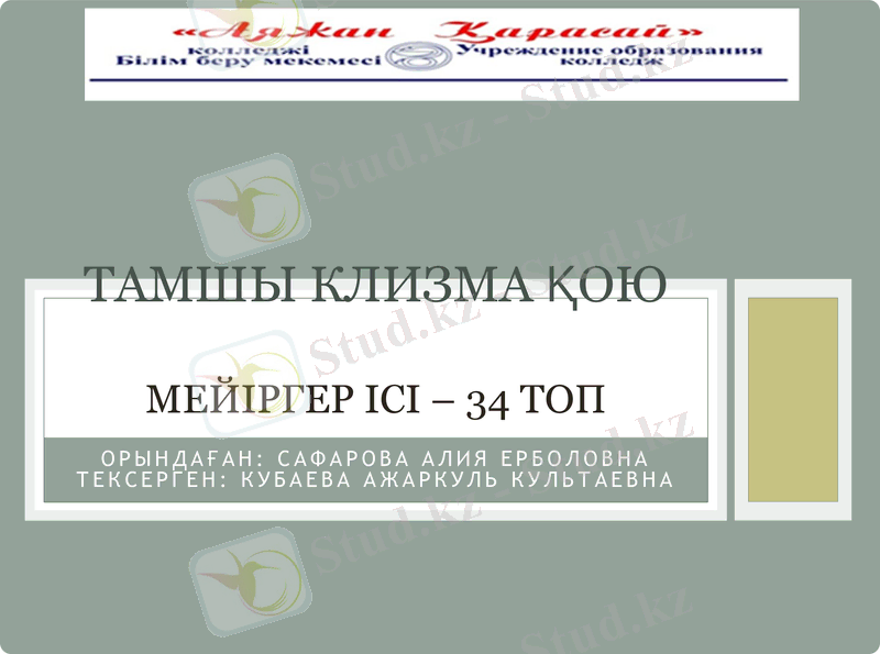 Slide 1