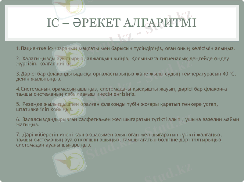 Slide 7