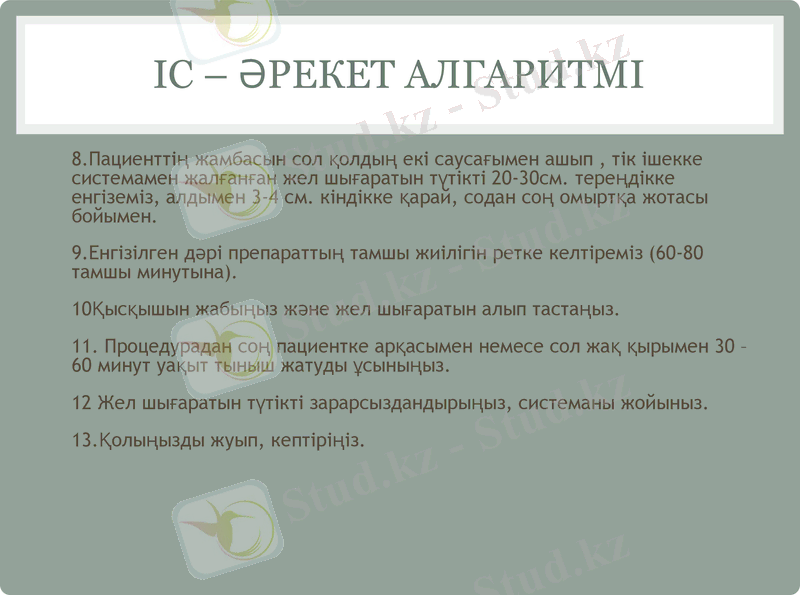 Slide 8