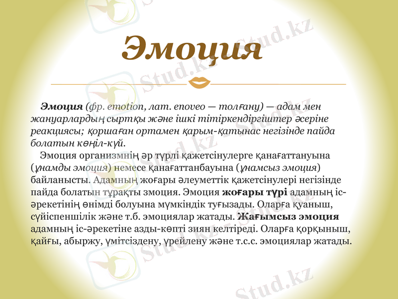 Slide 10