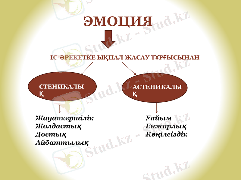 Slide 12