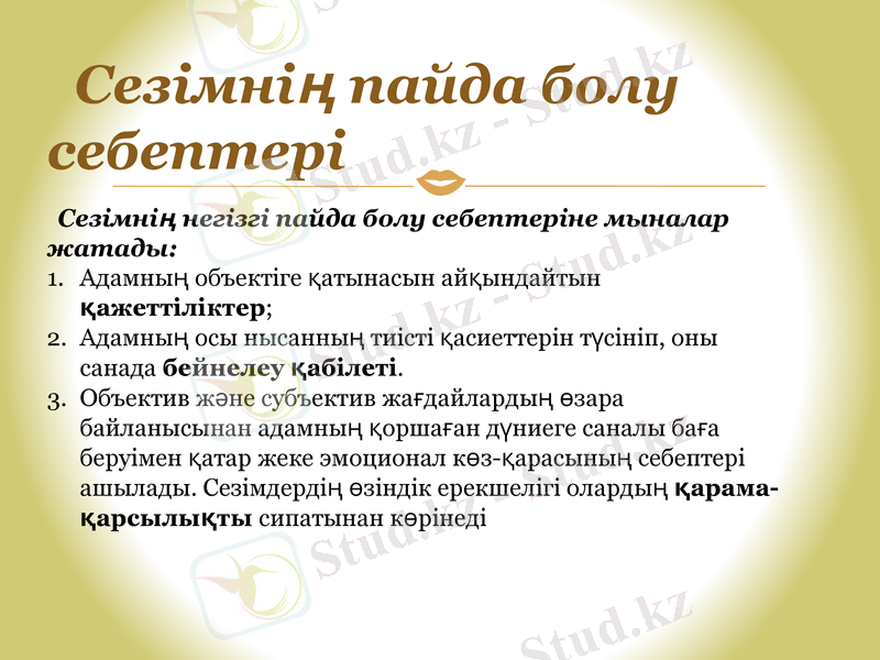 Slide 7