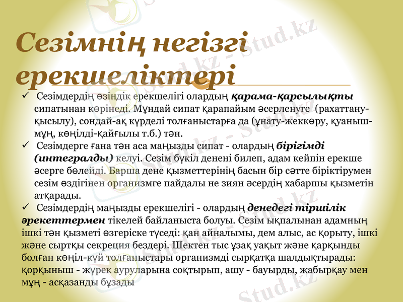 Slide 8