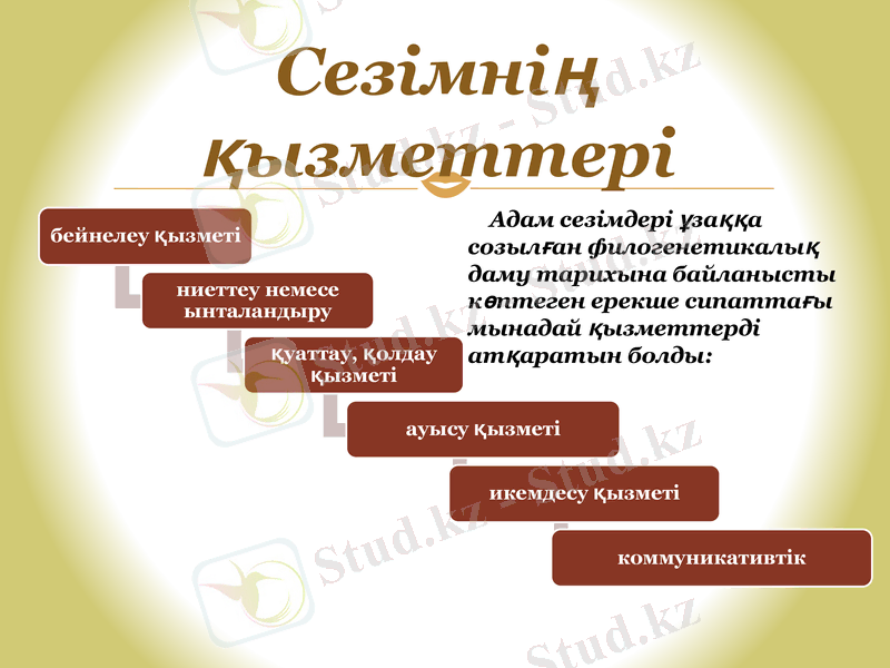 Slide 9