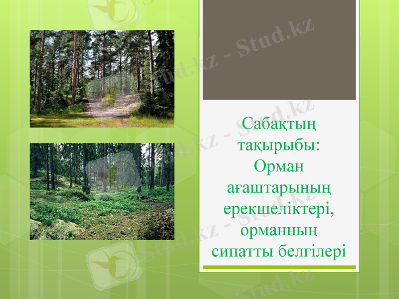 Slide 1