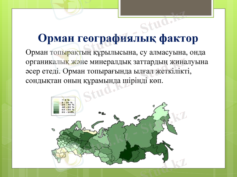 Slide 6