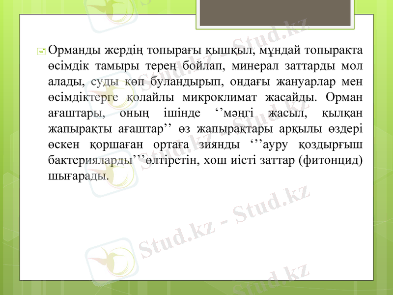 Slide 7