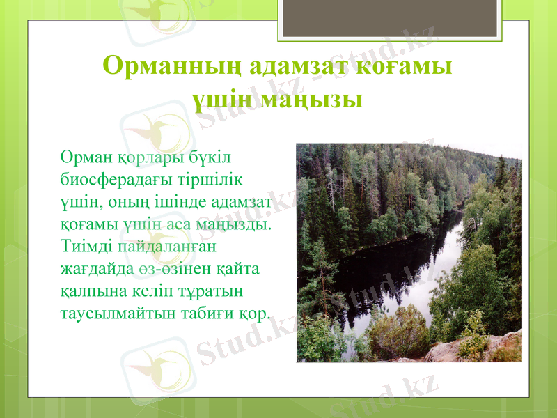 Slide 8