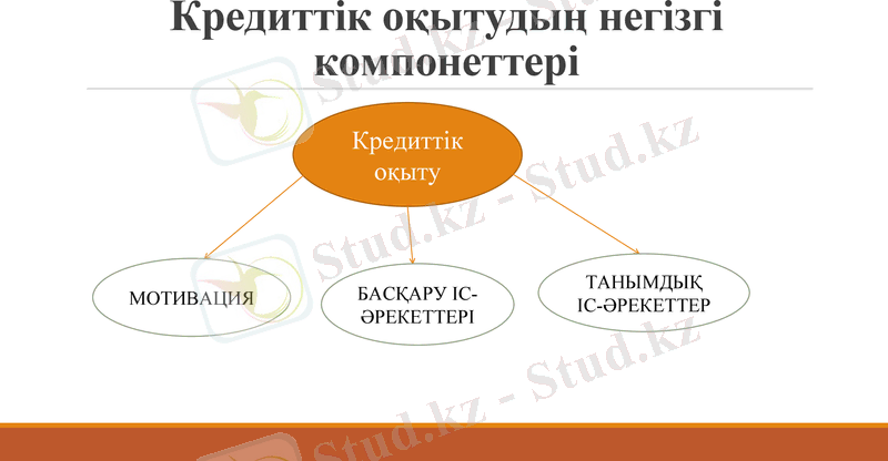 Slide 8