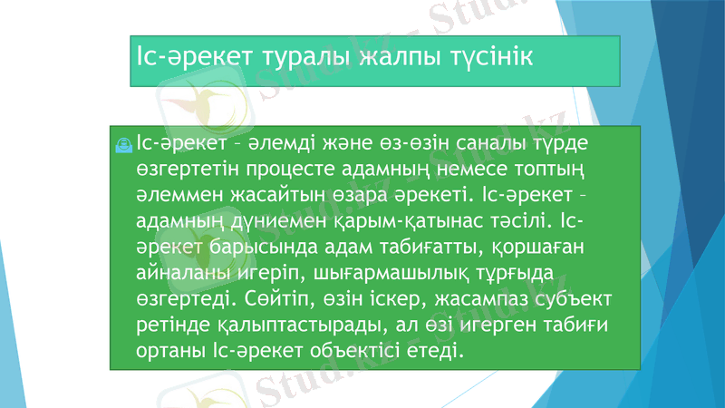 Slide 11