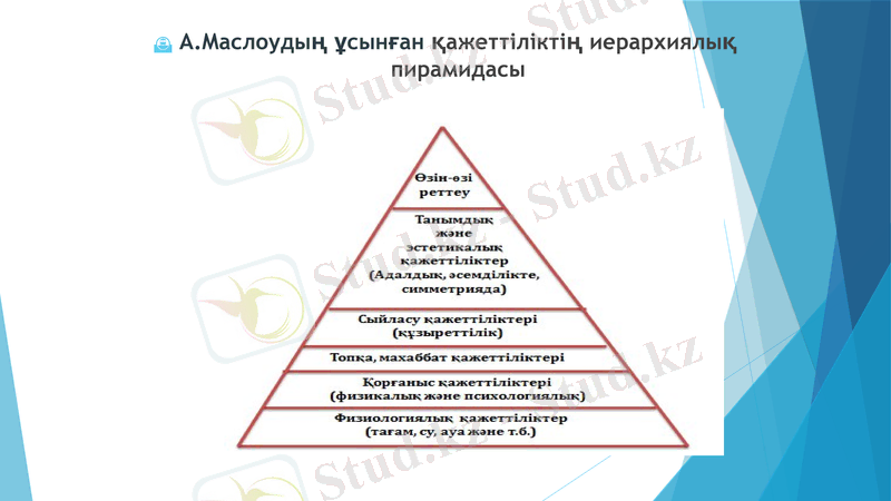 Slide 8