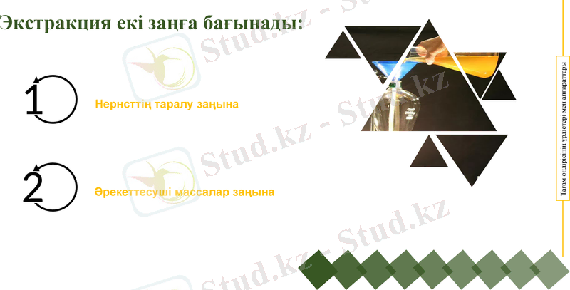 Slide 8