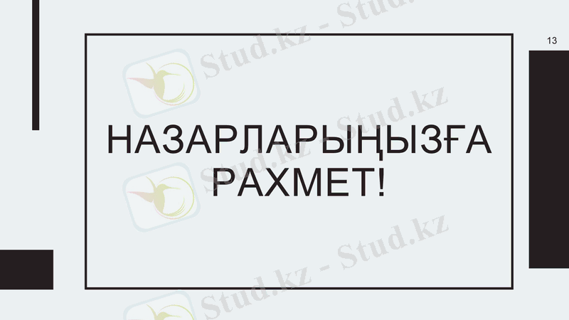 Slide 13