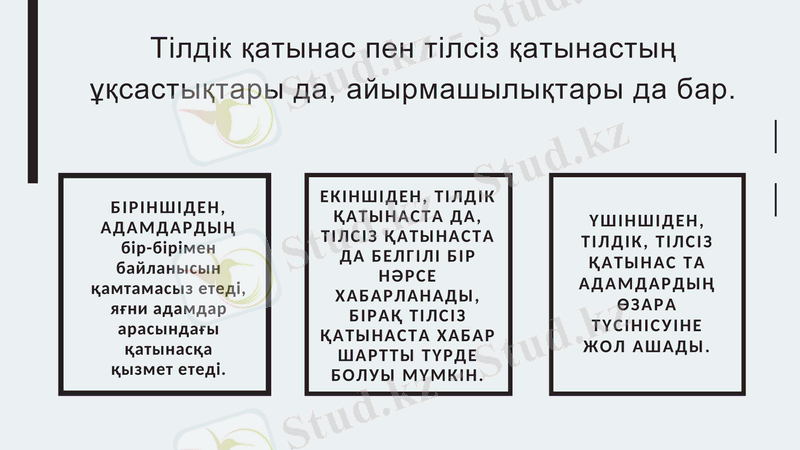 Slide 7