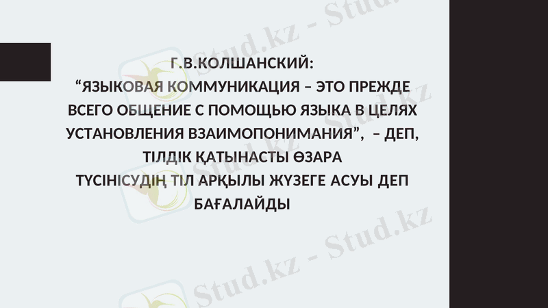 Slide 8
