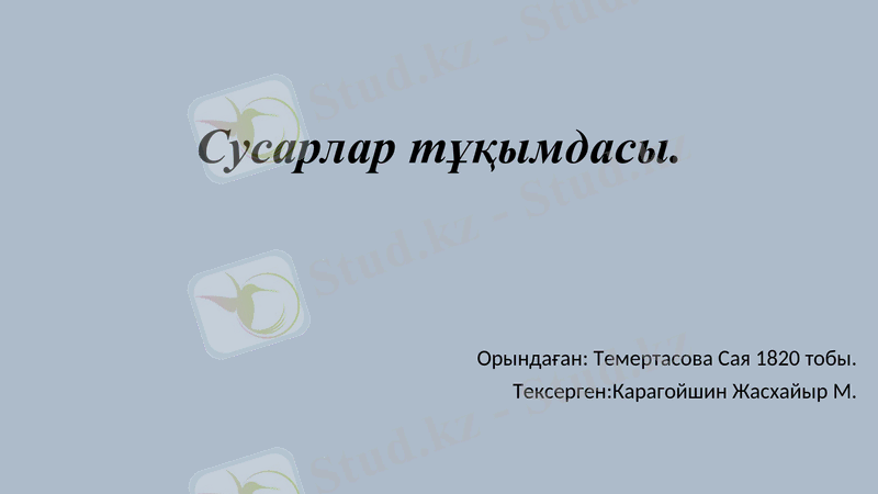 Slide 1
