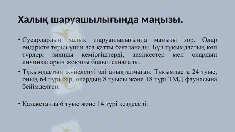 Slide 11