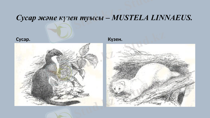 Slide 12