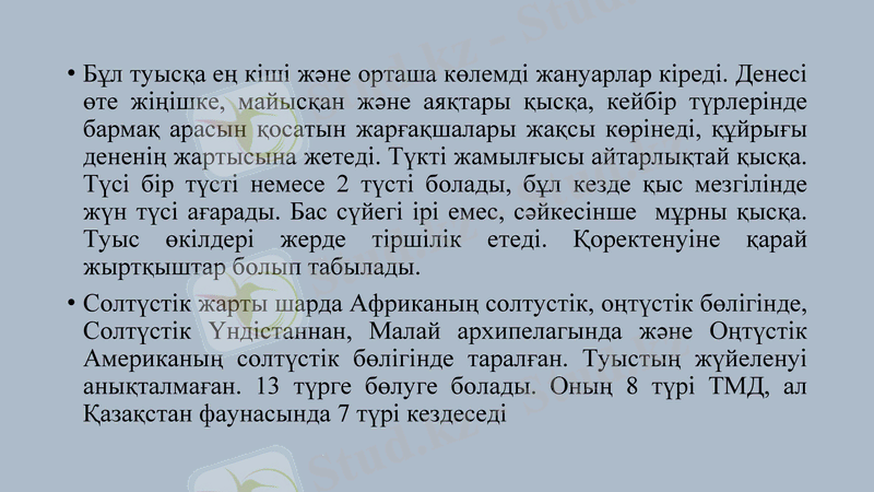 Slide 13