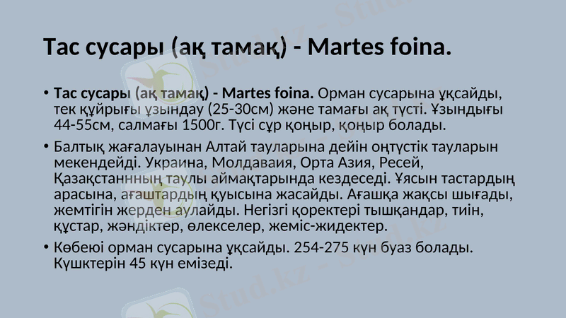 Slide 6