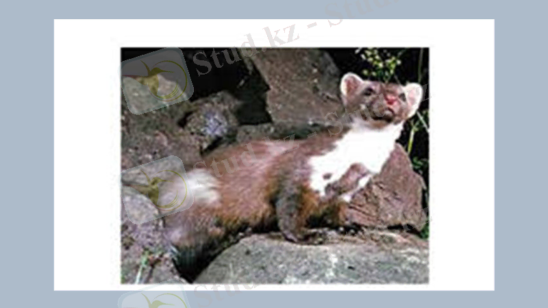 Slide 7