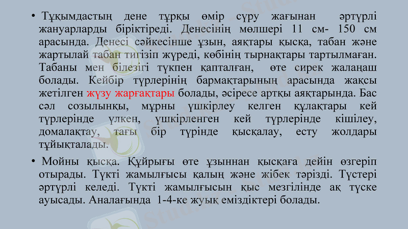Slide 9