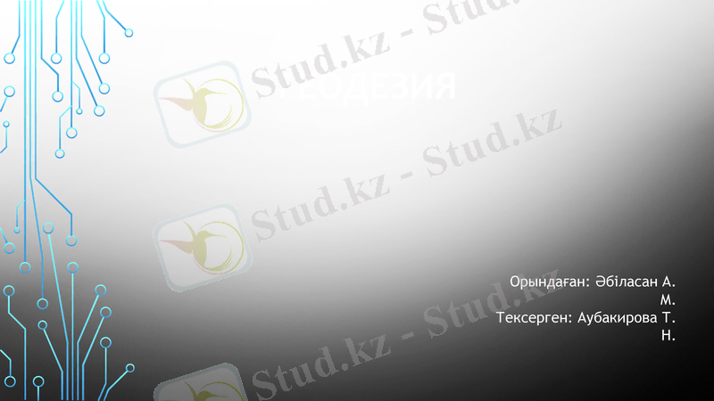 Slide 1