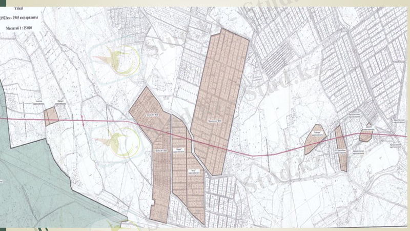 Slide 12
