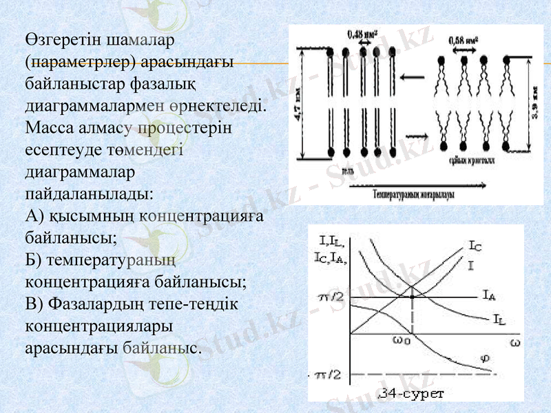 Slide 13
