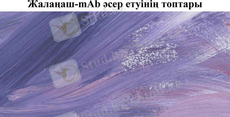 Slide 10
