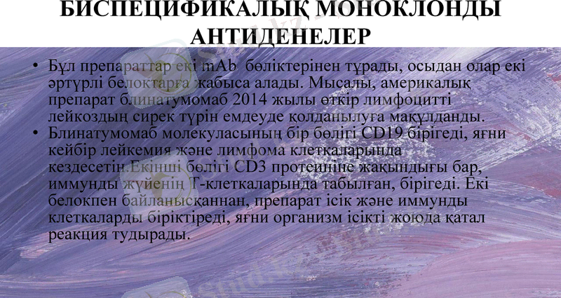 Slide 12