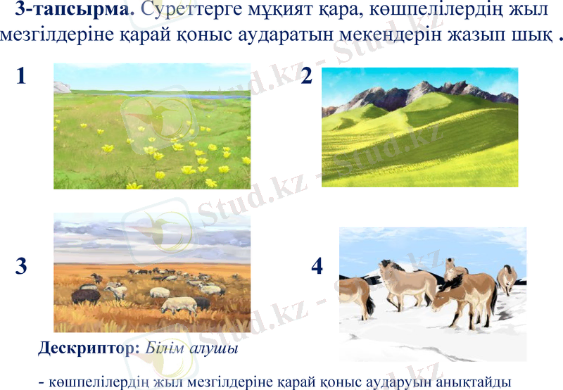 Slide 8