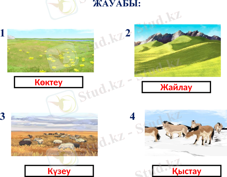 Slide 9