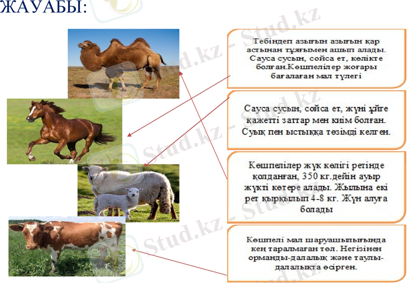 Slide 10