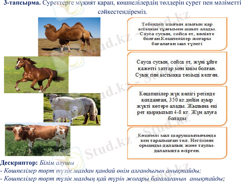 Slide 9