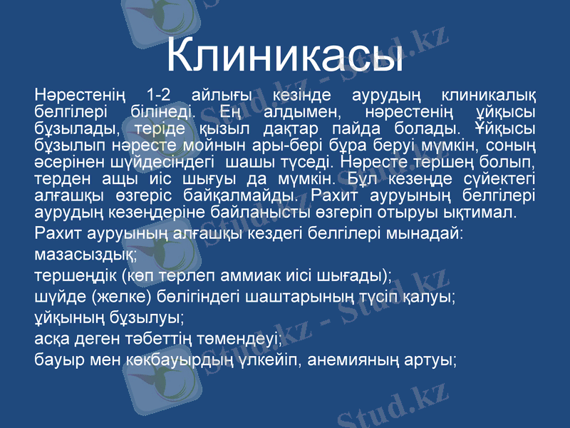 Slide 12