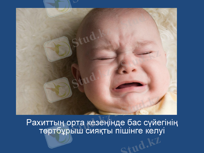 Slide 16