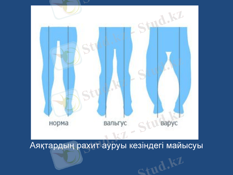 Slide 19