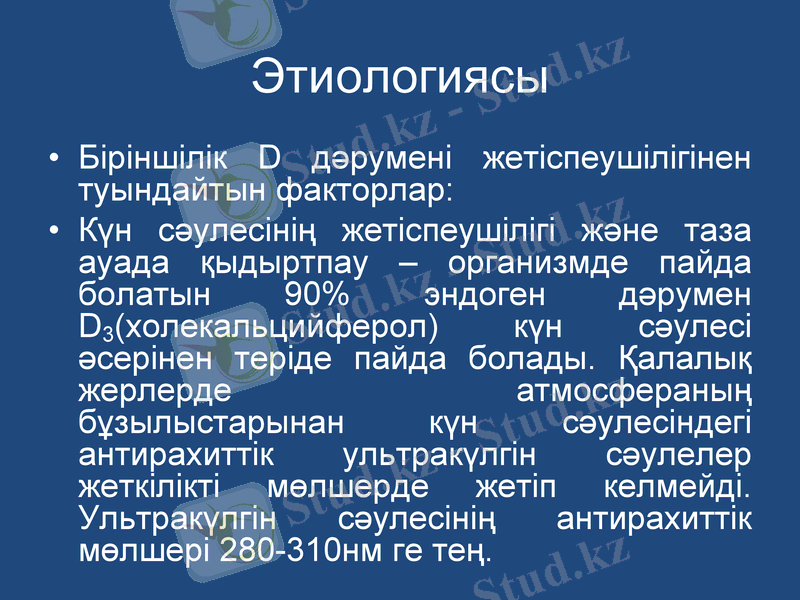 Slide 8