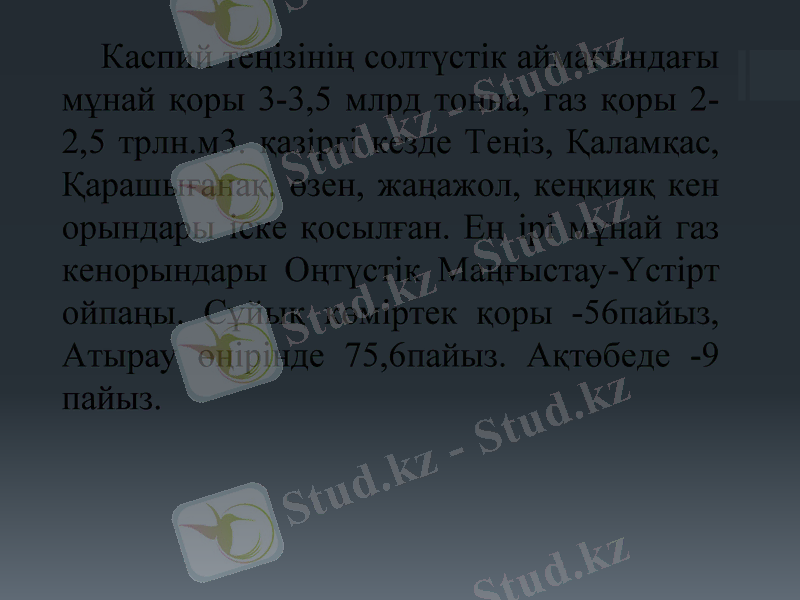 Slide 6